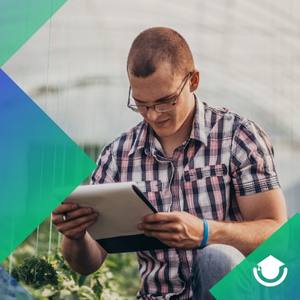 Licenciatura en Agronegocios